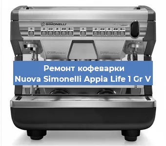 Замена фильтра на кофемашине Nuova Simonelli Appia Life 1 Gr V в Волгограде